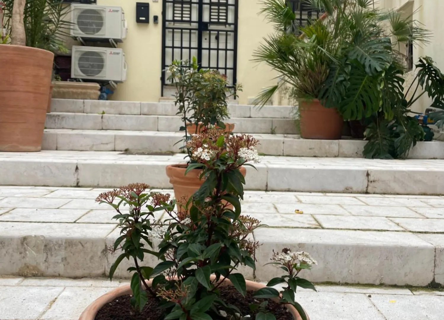 Cut' Home Monreale Italia